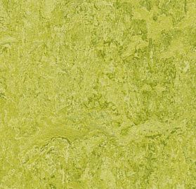 Натуральный линолеум Forbo Marmoleum Real Chartreuse 3224